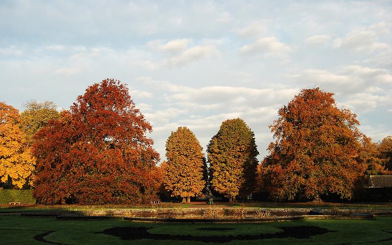 2009-10-26, Herbstfärbung (1).JPG